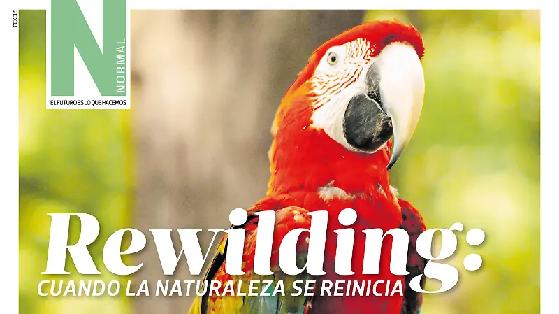 Rewilding SITIO1